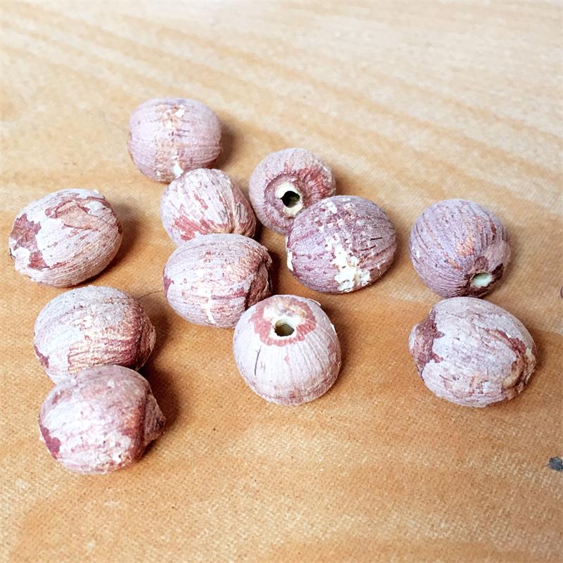 Red Lotus Seeds Nuts without Core Plumule