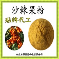 沙棘果粉片 压片糖果 沙棘粉 OEM贴牌 代加工 定制