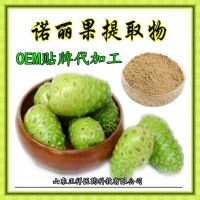 诺丽果酵素粉 诺丽果粉片 OEM贴牌 代加工 定制