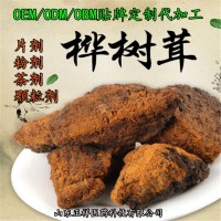 桦褐孔菌多糖 桦褐孔菌粉 超微粉碎 OEM定制 贴牌代加工