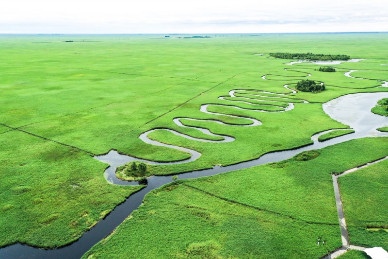 图1扎龙湿地