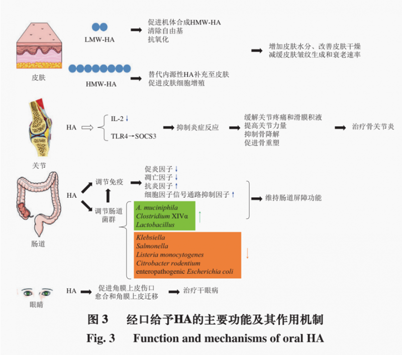 QQ截图20220127213834