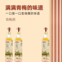 i青梅酒源头生产  oem代加工