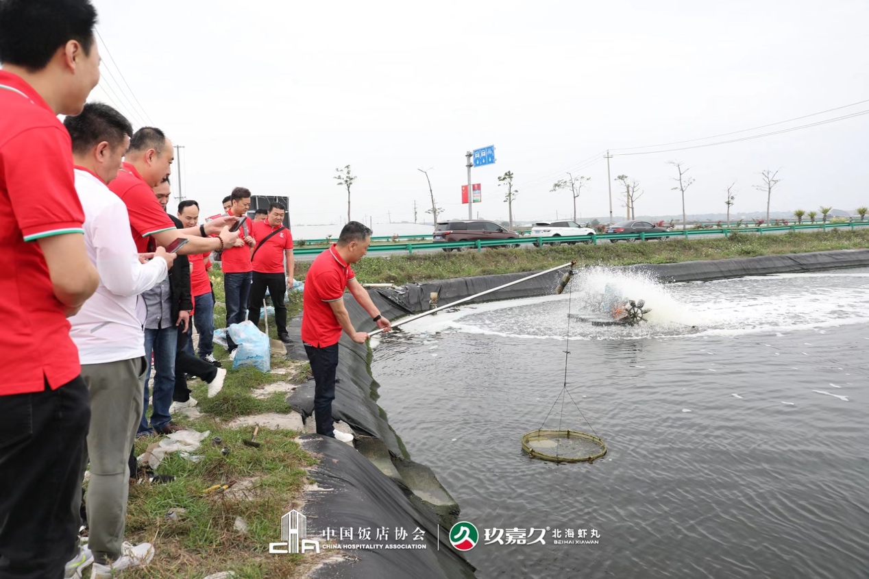 如图片无法显示，请刷新页面