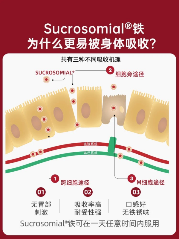 铁补充剂品牌SiderAL联合专业营养师发起补铁知识科普，科学补充铁营养