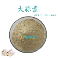 水溶性大蒜素 大蒜素1% 片剂胶囊原料 水溶大蒜粉量大价优